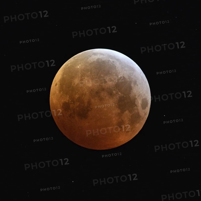 Blood moon (lunar eclipse), red-orange moon on 21 January 2019, 04:10 a.m., entry of the supermoon into the Earth's umbra, full moon, supermoon, strawberry moon, local nature, Meerbusch, DÃ¼sseldorf, Rhineland, Lower Rhine, North Rhine-Westphalia, Germany, Western Europe