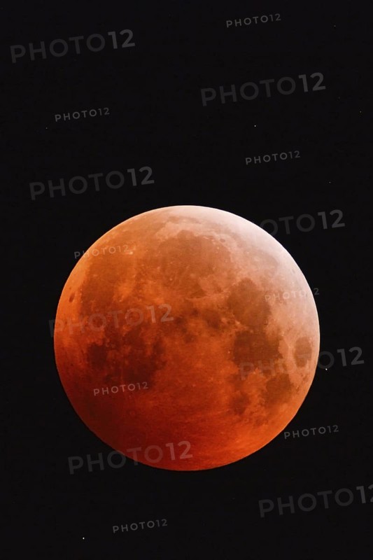 The 21.01.2019... Core shadow lunar eclipse... Blood moon (super moon, lunar eclipse), brightly shining, very large, red-orange moon, full moon in the night sky with stars, super telephoto, strawberry moon, local nature, Meerbusch, DÃ¼sseldorf, Rhineland, Lower Rhine, North Rhine-Westphalia, Germany, Western Europe