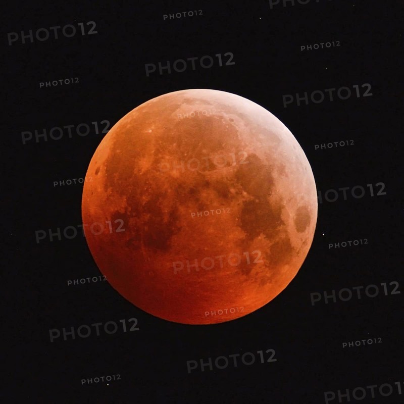 The 21.01.2019... Core shadow lunar eclipse... Blood moon (super moon, lunar eclipse), brightly shining, very large, red-orange moon, full moon in the night sky with stars, super telephoto, super moon, strawberry moon, local nature, Meerbusch, DÃ¼sseldorf, Rhineland, Lower Rhine, North Rhine-Westphalia, Germany, Western Europe