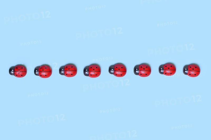 Row of small wooden ladybug ornaments on blue background