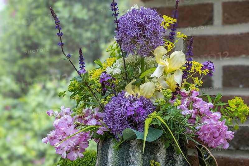 Bouquet with allium, iris and robinia, North Rhine-Westphalia, Germany