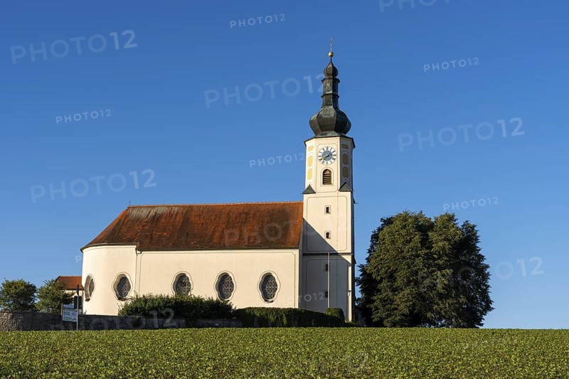 The pilgrimage church of the Assumption of the Virgin Mary in WeiÃŸenregen near Bad Kötzting. In the morning. WeiÃŸenregen, Bad Kötzting, district of Cham, Upper Palatinate, Bavarian Forest, Bavaria, Germany