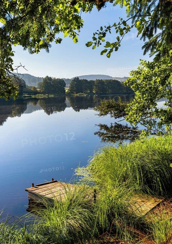 A jetty at Blaibacher See. Blaibach, district of Cham, Upper Palatinate, Bavarian Forest, Bavaria, Germany