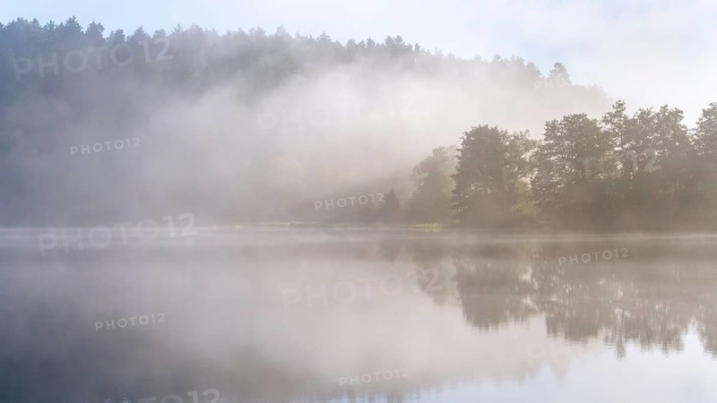 Lake Blaibach on a misty morning. Atmospheric reflection with clouds. Blaibach, district of Cham, Upper Palatinate, Bavarian Forest, Bavaria, Germany