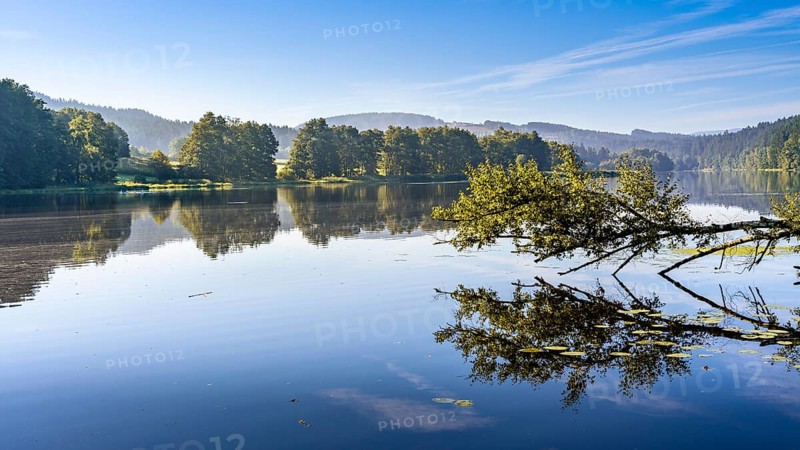 Lake Blaibach in summer. Blaibach, district of Cham, Upper Palatinate, Bavarian Forest, Bavaria, Germany