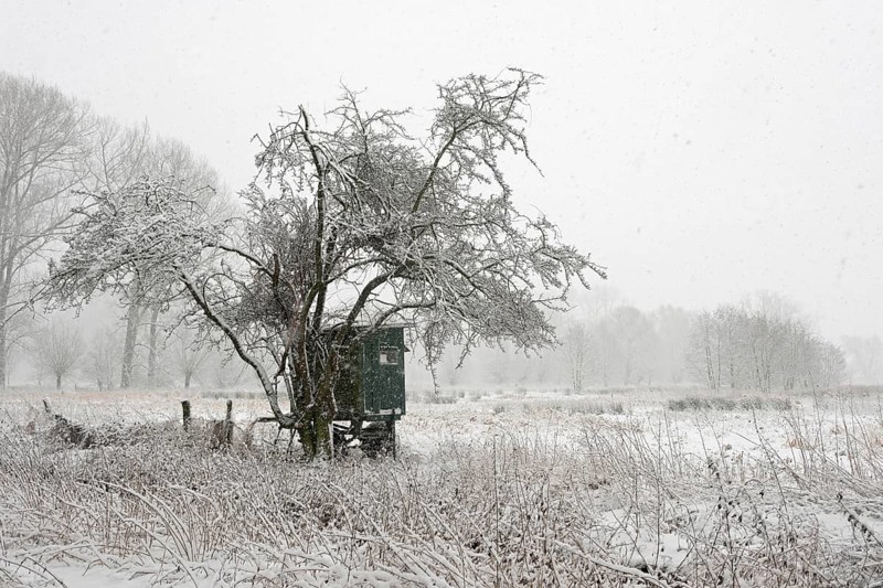 In the StrÃ¼mper Bruch... Meerbusch (North Rhine-Westphalia), mobile hunting hide, high seat in a nature reserve on the Lower Rhine, surprising onset of winter with heavy snowfall for a region that is actually favoured by warmth, local nature, landscapes in the snow, rare weather conditions in the Rhineland, Lower Rhine, Meerbusch, North Rhine-Westphalia, Germany, Western Europe