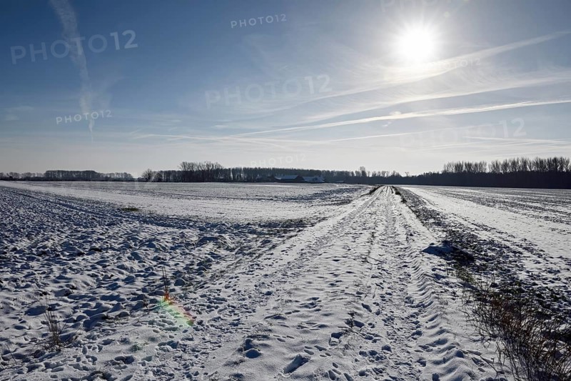 Glistening light... Meerbusch (North Rhine-Westphalia), rural cultural landscape on the Lower Rhine in winter with blue sky and sunshine, local nature, landscapes in the snow, rare weather conditions in the Rhineland, Lower Rhine, Meerbusch, North Rhine-Westphalia, Germany, Western Europe