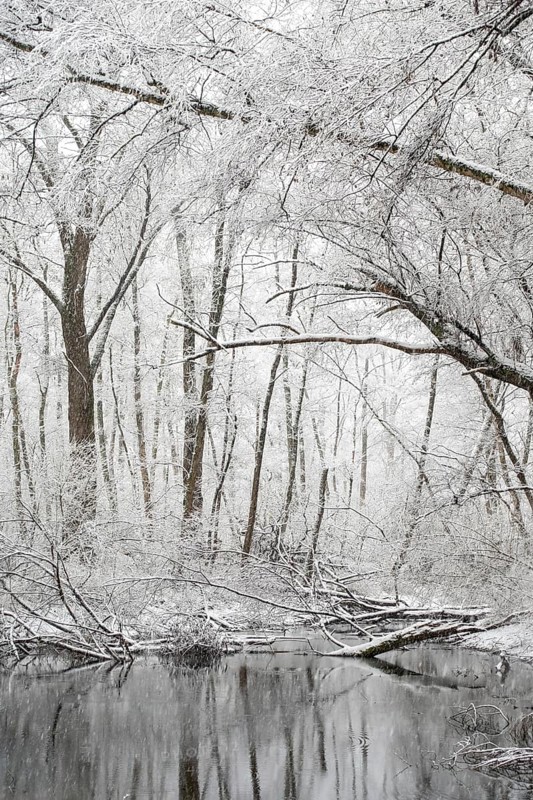 Standing water in riparian forest in winter, late onset of winter in North Rhine-Westphalia, heavy snowfall, local nature, landscapes in the snow, rare weather conditions in the Rhineland, Lower Rhine, Meerbusch, North Rhine-Westphalia, Germany, Western Europe