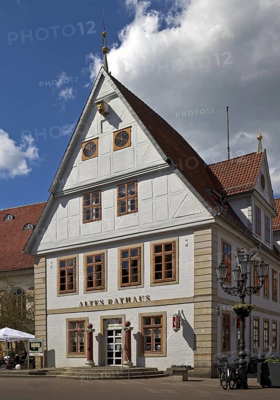Old Town Hall, south gable with pillory, Celle, Lower Saxony, Germany