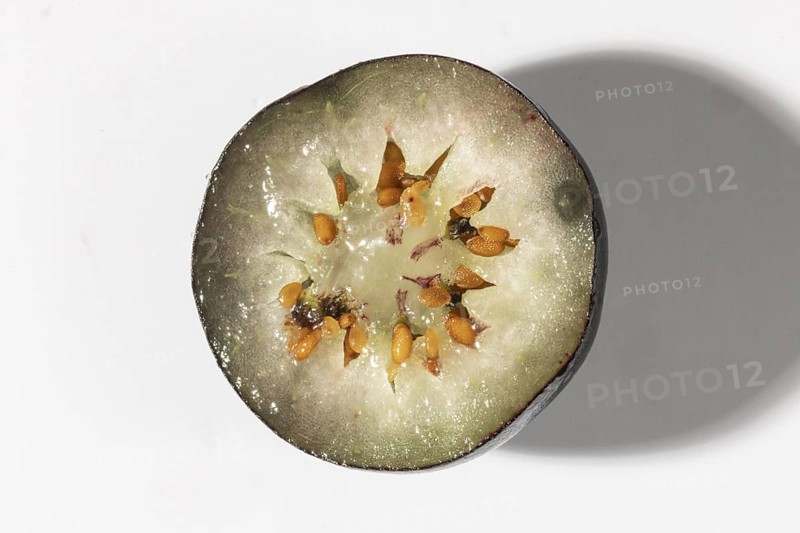 Sliced blueberry with visible seeds and light-coloured flesh, macro image