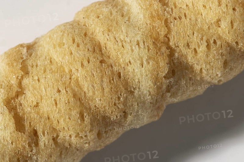 Macro shot, part of a hollow hip