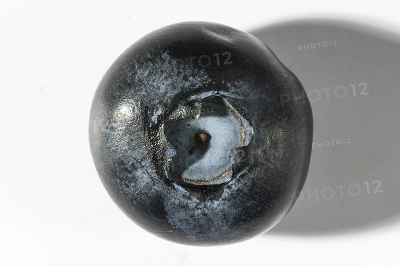 View of the top of a dark blueberry, macro shot