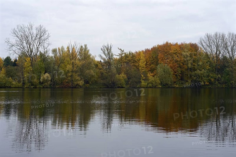 Bislicher Insel, still water, gravel excavation, Old Rhine, lake in autumn, autumn colours, quiet, idyllic picture, landscape, local nature, Wesel district, Rhineland, Lower Rhine, North Rhine-Westphalia, Germany, Western Europe