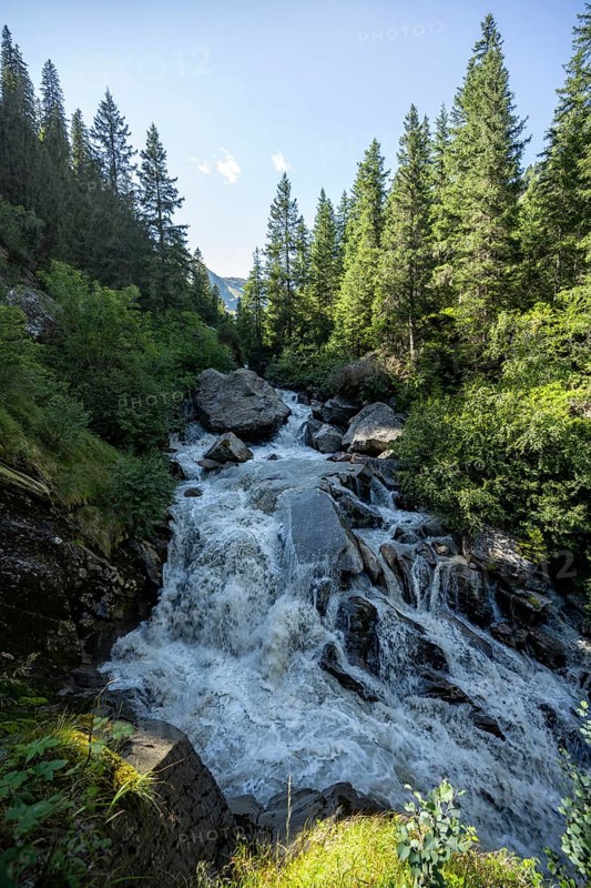 Waterfall at a roaring mountain stream between trees, Seebach stream in the Burkhardklamm gorge, Ridnauntal valley, South Tyrol, Italy