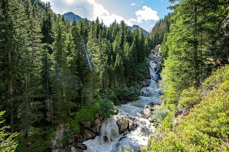 Waterfall at a roaring mountain stream between trees, Seebach stream in the Burkhardklamm gorge, Ridnauntal valley, South Tyrol, Italy
