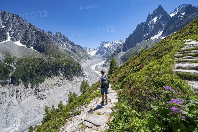 Picturesque mountain landscape with blooming alpine flowers, imposing mountain peaks and glaciers, mountaineers on a hiking trail, Grand Balcon Nord, glacier tongue Mer de Glace, behind Grandes Jorasses, Mont Blanc massif, Montenvers, Chamonix, Haute-Savoie, France