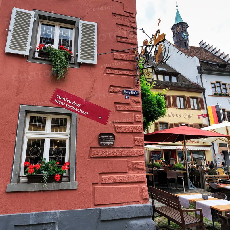 FaÃ§ade detail, Gasthaus zum Löwen, protest against cracks caused by geothermal drilling, Staufen im Breisgau, Germany