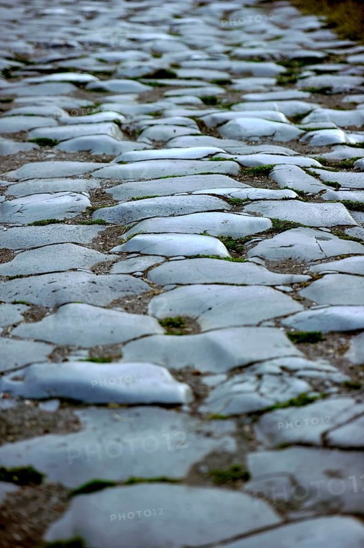Ancient pavement of the main street Decumano Massimo, large paving stones, remains, ruins, ancient port city of Rome, excavation site Archaeological Park Ostia Antica, metropolitan city of Rome, Lazio, Italy
