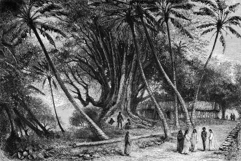 Landscape on the island, palm trees, giant trees, locals in conversation, wooden house, path, Pacific Ocean, Taiti, French overseas territory French Polynesia, historical illustration 1888