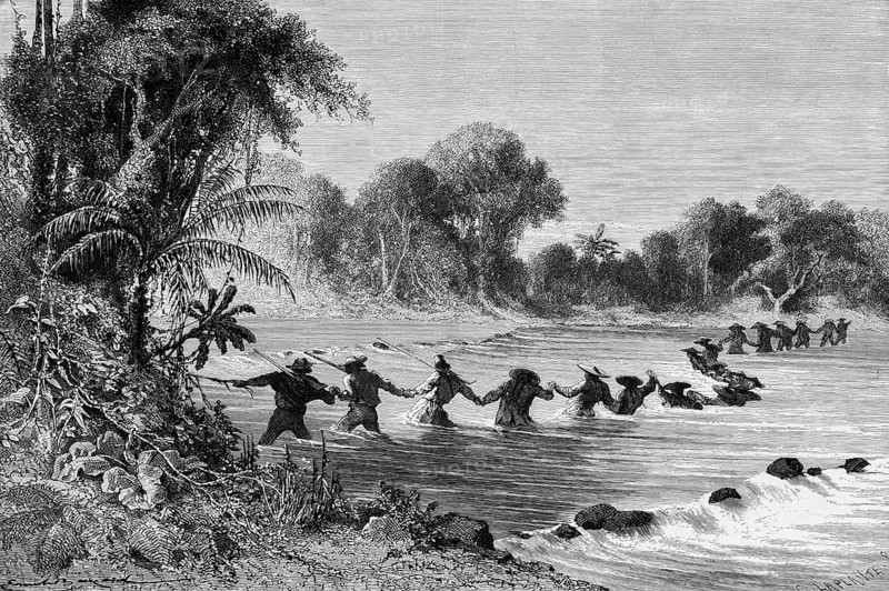 Human chain crossing a river in the Amazon rainforest, raging current, danger, cataract, riverbank, North America, historical illustration 1888