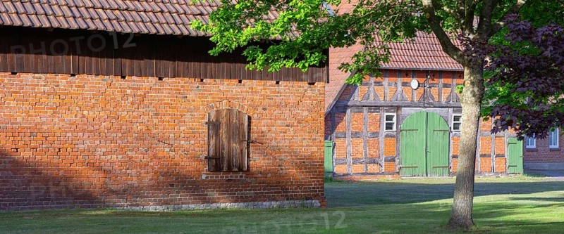 View through a chestnut tree onto a farm, Böhme, Heidekreis, Rethem Aller, Leine Aller Tal, Lower Saxony, Germany