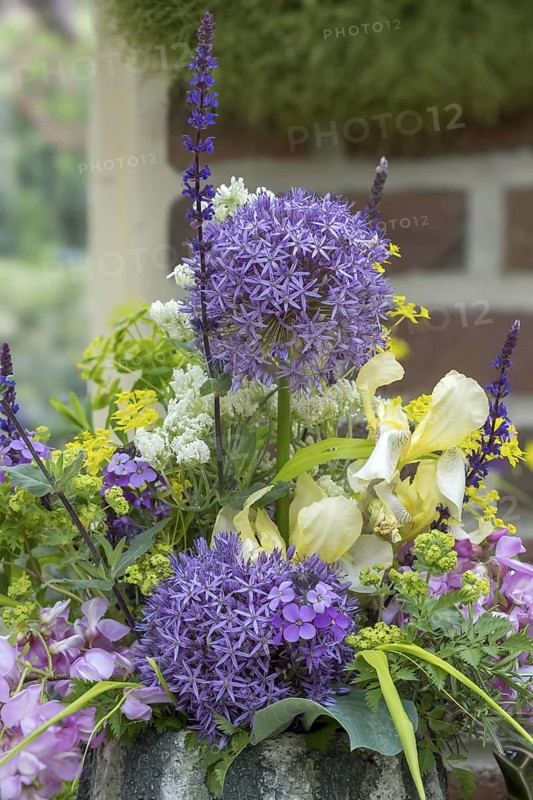 Bouquet with allium, iris and robinia, North Rhine-Westphalia, Germany