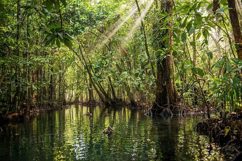 Lagoon, Klong Rud, Klong Nam Sai, Ao Nang, Krabi, Thailand
