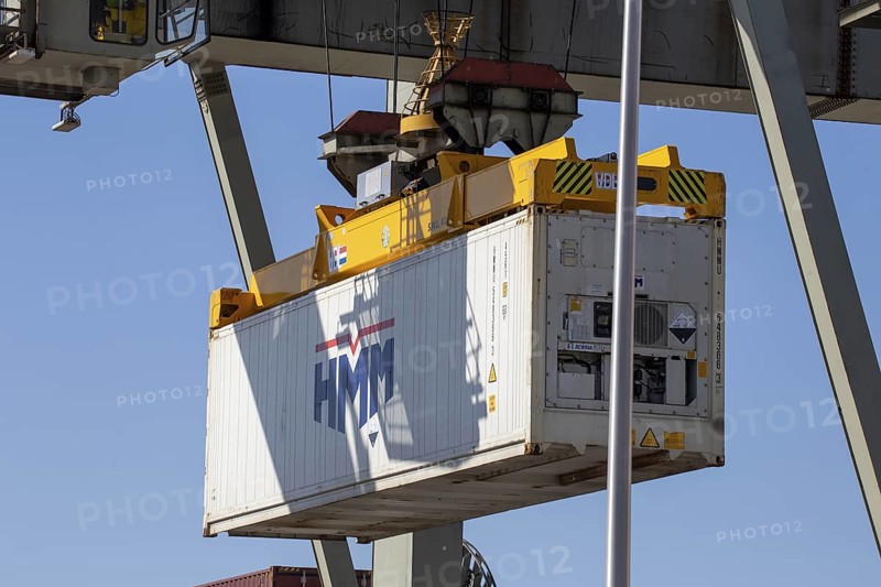 Mannheim: A container from the shipping company HMM (Hyundai Merchant Marine) is loaded in the harbour
