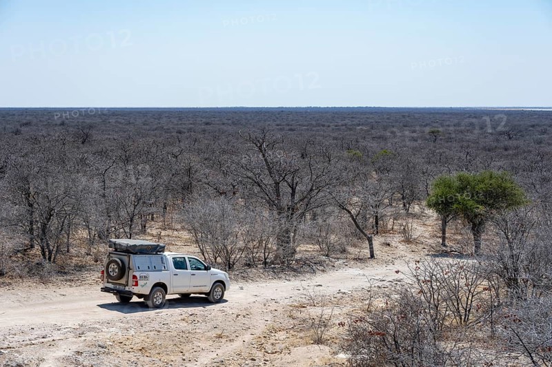 Off-road vehicle between dry bushes on a sandy track, Makgadikgadi salt pans, Botswana