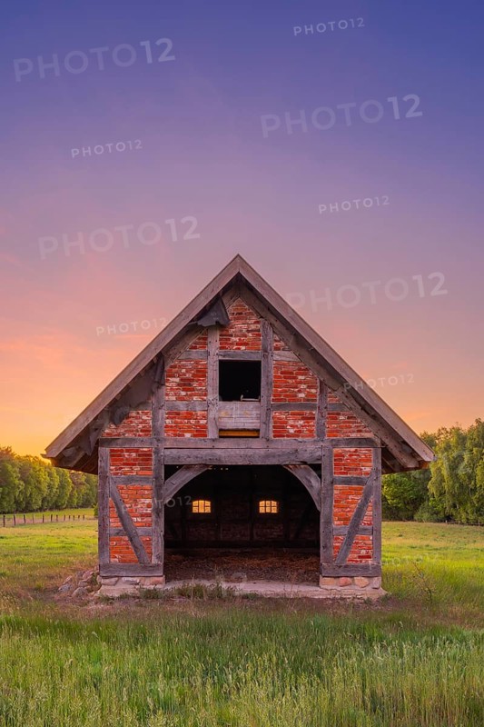 View of grasses and an open half-timbered barn standing on a pasture in the sunset, meadow, spring, awakening, new, colours, season, landscape photo, nature photo, flora, fauna, landscape format, pasture, grasses, lowland, sky, clouds, Stöckse, Steimbke, Nienburg Weser, Lower Saxony, Germany