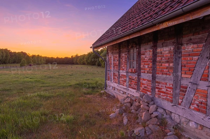 View along an outer wall of a half-timbered barn standing on a pasture in the sunset, meadow, spring, awakening, new, colours, season, landscape photo, nature photo, flora, fauna, landscape format, pasture, grasses, lowland, sky, clouds, Stöckse, Steimbke, Nienburg Weser, Lower Saxony, Germany