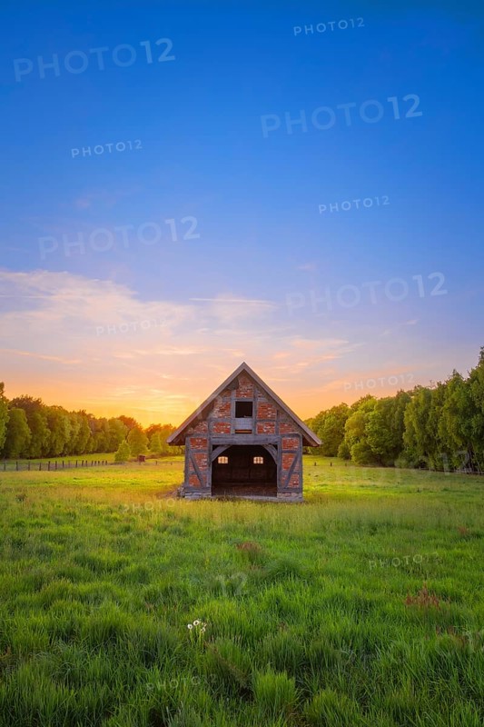 View of an open half-timbered barn standing on a pasture in the sunset, meadow, spring, awakening, new, colours, season, landscape photo, nature photo, flora, fauna, landscape format, pasture, grasses, lowland, sky, clouds, Stöckse, Steimbke, Nienburg Weser, Lower Saxony, Germany