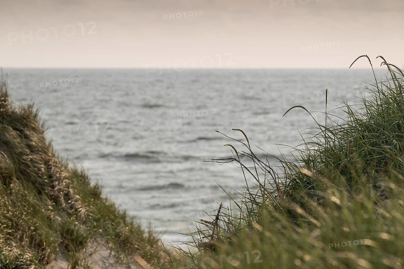 View through grassy dunes to the calm sea, near Hvide Sande, North Sea, Denmark