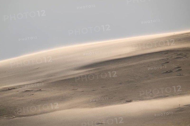 Curved sand dune in strong winds, near Hvide Sande, Jutland, Denmark