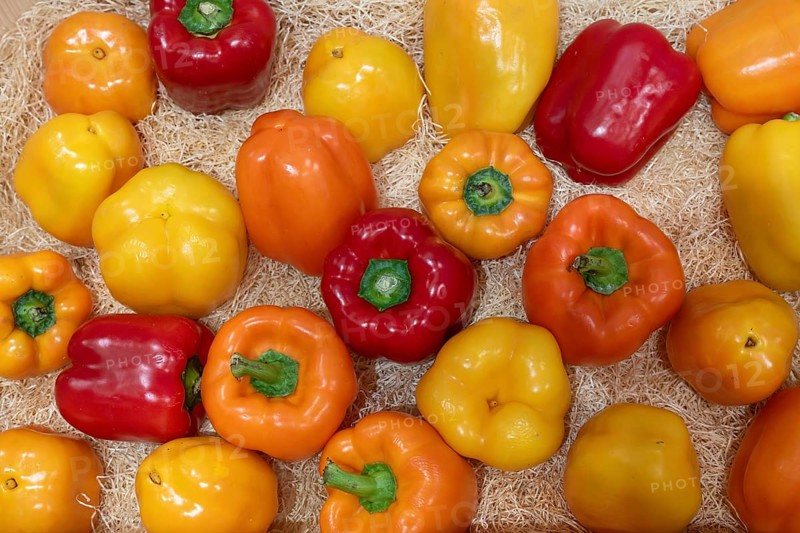 Chilli varieties