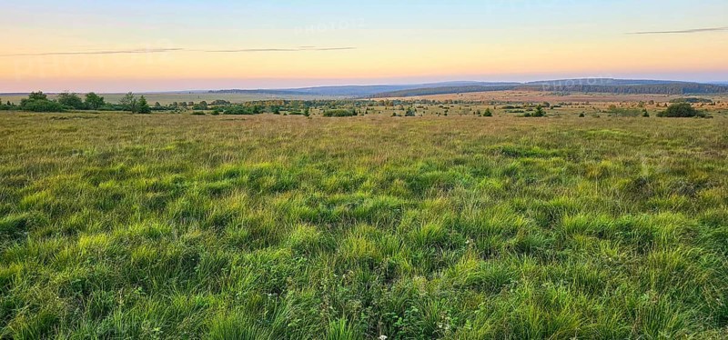 A wide moor landscape with a view of a sky illuminated by the colours of the sunset, summer, High Fens, Eifel National Park, MÃ¼tzenich, Waimes, LiÃ¨ge, Belgium