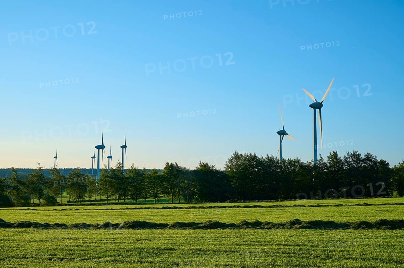 Wind turbines stand on a green meadow under a blue sky, surrounded by trees, summer, pipes, Monschau, Eifel, North Rhine-Westphalia, Germany