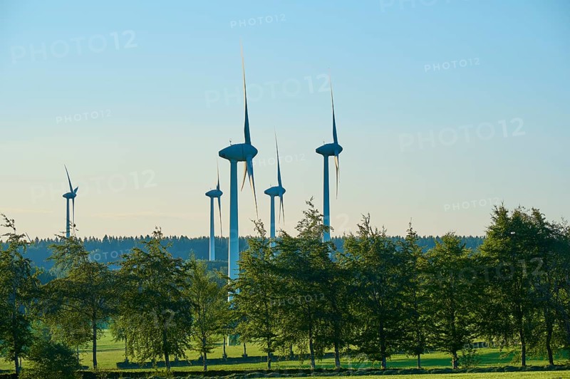Several wind turbines tower above the trees, embedded in a green landscape, summer, Rohren, Monschau, Eifel, North Rhine-Westphalia, Germany