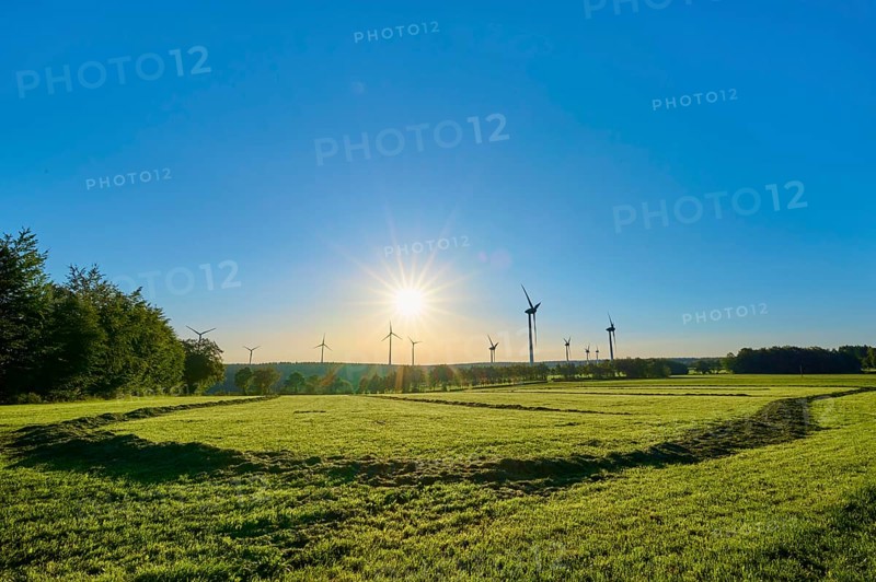 A group of wind turbines rises above a wide meadow in the light-flooded morning sky, summer, Rohren, Monschau, Eifel, North Rhine-Westphalia, Germany