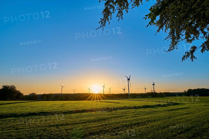 Wind turbines stand in a meadow while the sun rises gently on the horizon and provides light, summer, Rohren, Monschau, Eifel, North Rhine-Westphalia, Germany