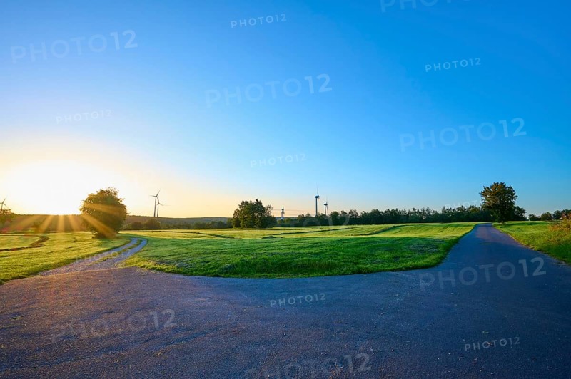 Fork of an asphalt road and a gravel path surrounded by a green meadow with wind turbines in the golden light of sunrise, summer, Rohren, Monschau, Eifel, North Rhine-Westphalia, Germany
