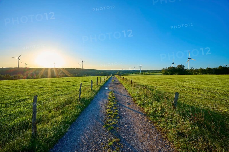 Field path with wind turbines in the background at sunrise, surrounded by green meadows, summer, Rohren, Monschau, Eifel, North Rhine-Westphalia, Germany