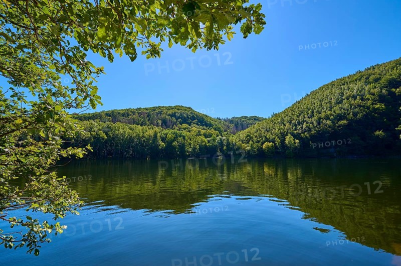 Clear blue sky over a calm lake, surrounded by green forest landscape, summer, Rursee, Obersee, Simmerath, Eifel National Park, North Rhine-Westphalia, Germany