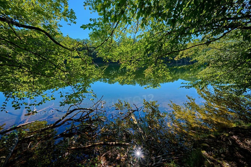 Tranquil water landscape under trees with natural reflection and clear sky, summer, Rursee, Obersee, Simmerath, Eifel National Park, North Rhine-Westphalia, Germany