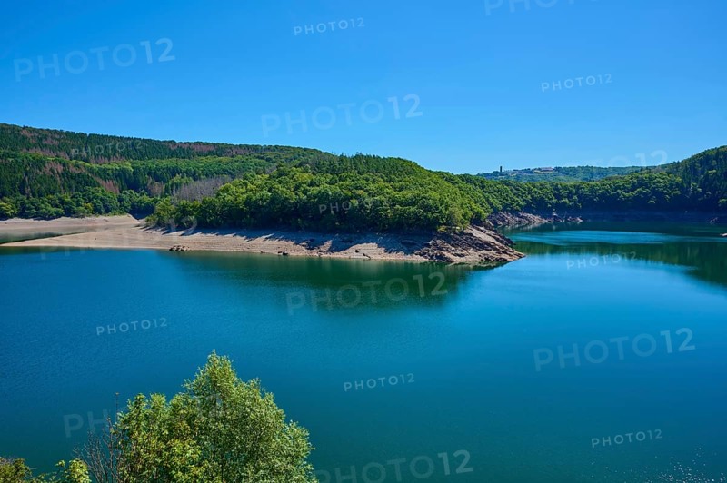 View of a lake with wooded shores and hills under a clear blue sky, summer, Urft dam wall, Obersee, Urftsee, Schleiden, Eifel National Park, Eifel, North Rhine-Westphalia, Germany