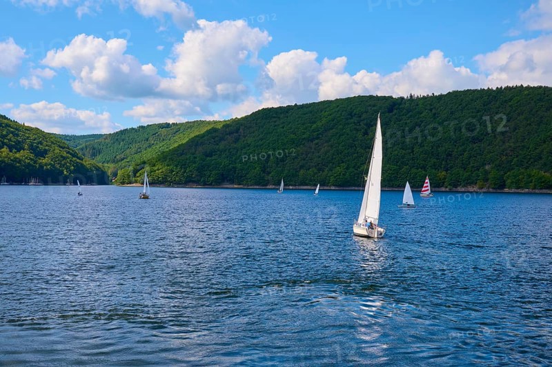 Several sailing boats gliding on a calm lake, with white clouds and blue sky, summer, Rursee, Rurtalsperre, Simmerath, Eifel National Park, North Rhine-Westphalia, Germany