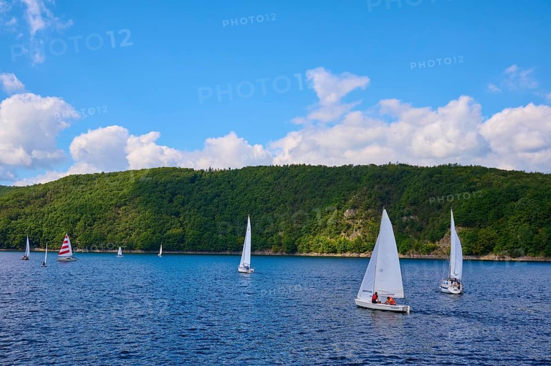Sailboats sailing on the wide lake in front of a wooded hilly landscape, summer, Rursee, Rurtalsperre, Simmerath, Eifel National Park, North Rhine-Westphalia, Germany