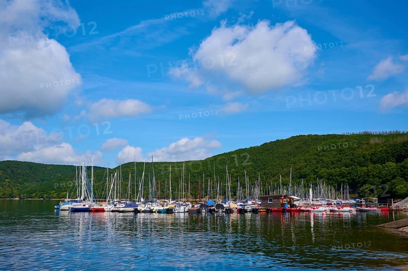 Harbour with many sailing boats in front of wooded hills, summer, Rursee, Rurtalsperre, Heimbach, Simmerath, Eifel National Park, North Rhine-Westphalia, Germany