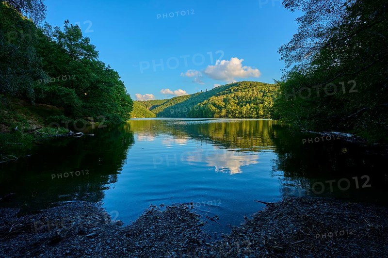 Calm lake with wooded shores under a clear sky, light clouds passing by, summer, Rursee, Obersee, Simmerath, Eifel National Park, North Rhine-Westphalia, Germany