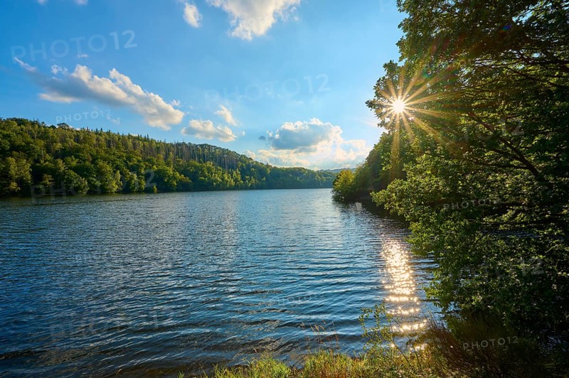 Sunbeams through trees on a calm lake, summer, Rursee, Obersee, Simmerath, Eifel National Park, North Rhine-Westphalia, Germany